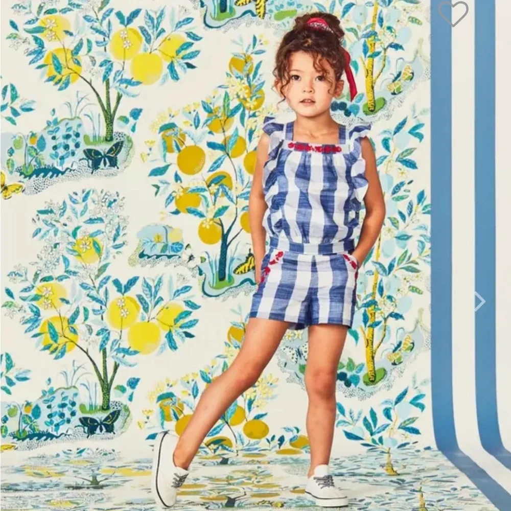 Janie and Jack Embroidered Floral Gingham 2T Sleeveless Ruffle Cotton Toddler